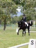 IMG_1519 IMG_1519