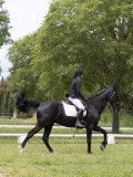 IMG_1523 IMG_1523