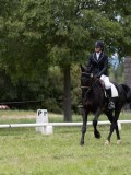 IMG_1526 IMG_1526