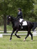 IMG_1528 IMG_1528