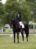 IMG_1531 IMG_1531