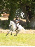 24_05624 24_05624