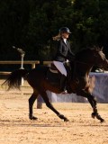 DSC03767 DSC03767