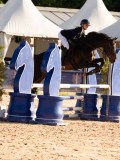 DSC03768 DSC03768