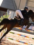 DSC03776 DSC03776