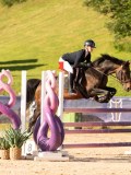DSC03778 DSC03778