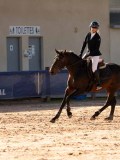 DSC03786 DSC03786