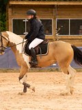 DSC01245 DSC01245