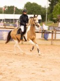 DSC01250 DSC01250