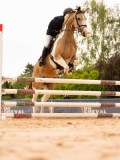 DSC01258 DSC01258