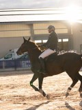 DSC06757 DSC06757
