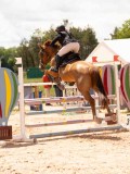 DSC05455 DSC05455