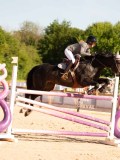DSC05317 DSC05317