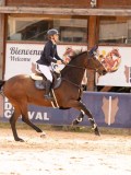 DSC01338 DSC01338