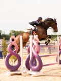 DSC01341 DSC01341
