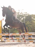 DSC06635