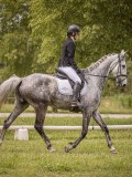 IMG_1536 IMG_1536