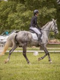 IMG_1537 IMG_1537