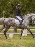 IMG_1548 IMG_1548