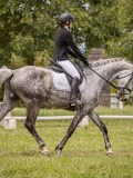 IMG_1549 IMG_1549