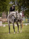 IMG_1557 IMG_1557