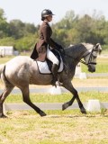 24_04794