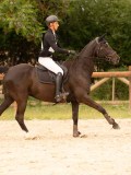 DSC06378 DSC06378