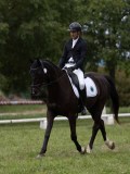 IMG_1561 IMG_1561