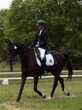 IMG_1562 IMG_1562