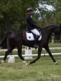 IMG_1564 IMG_1564