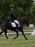 IMG_1565 IMG_1565