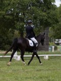 IMG_1570 IMG_1570