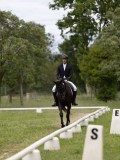 IMG_1571 IMG_1571