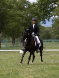 IMG_1575 IMG_1575