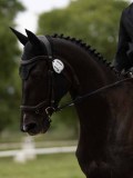 IMG_1577 IMG_1577