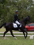 IMG_1578 IMG_1578