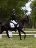 IMG_1579 IMG_1579