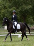 IMG_1584 IMG_1584