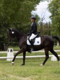IMG_1585 IMG_1585