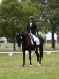 IMG_1588 IMG_1588