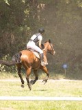 24_05656 24_05656
