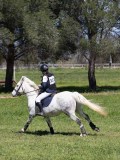 IMG_1658