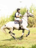 MAX02760