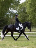 IMG_1596 IMG_1596
