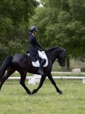 IMG_1597 IMG_1597