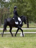 IMG_1599 IMG_1599