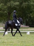 IMG_1600 IMG_1600