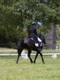 IMG_1601 IMG_1601