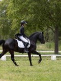 IMG_1609 IMG_1609