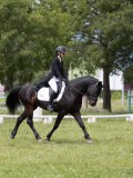 IMG_1610 IMG_1610